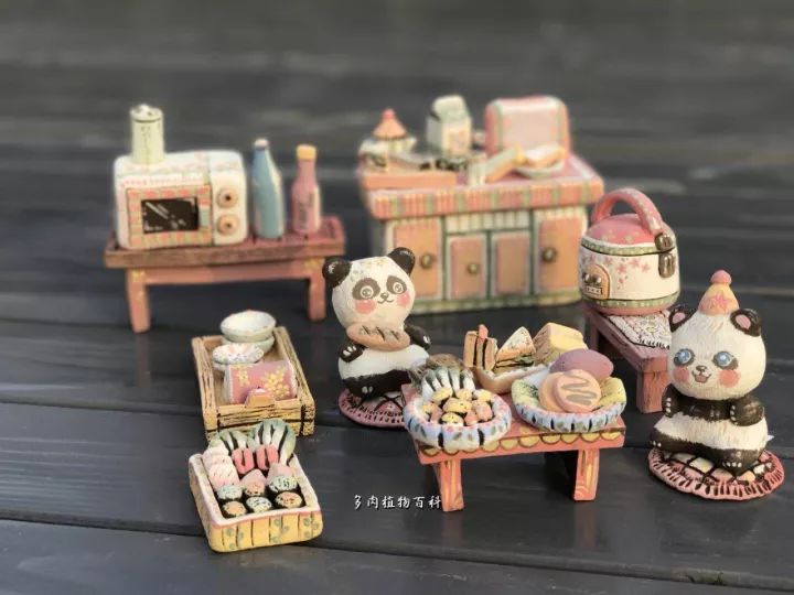 公认最美4种多肉植物图片,2014年上海多肉植物展图片