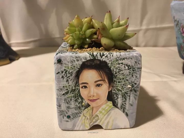 公认最美4种多肉植物图片,2014年上海多肉植物展图片