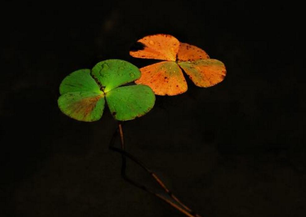 避免翻船通关,如何防止船舶翻船