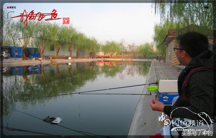 朋友相聚钓罗非,好友们相约一起钓鱼视频