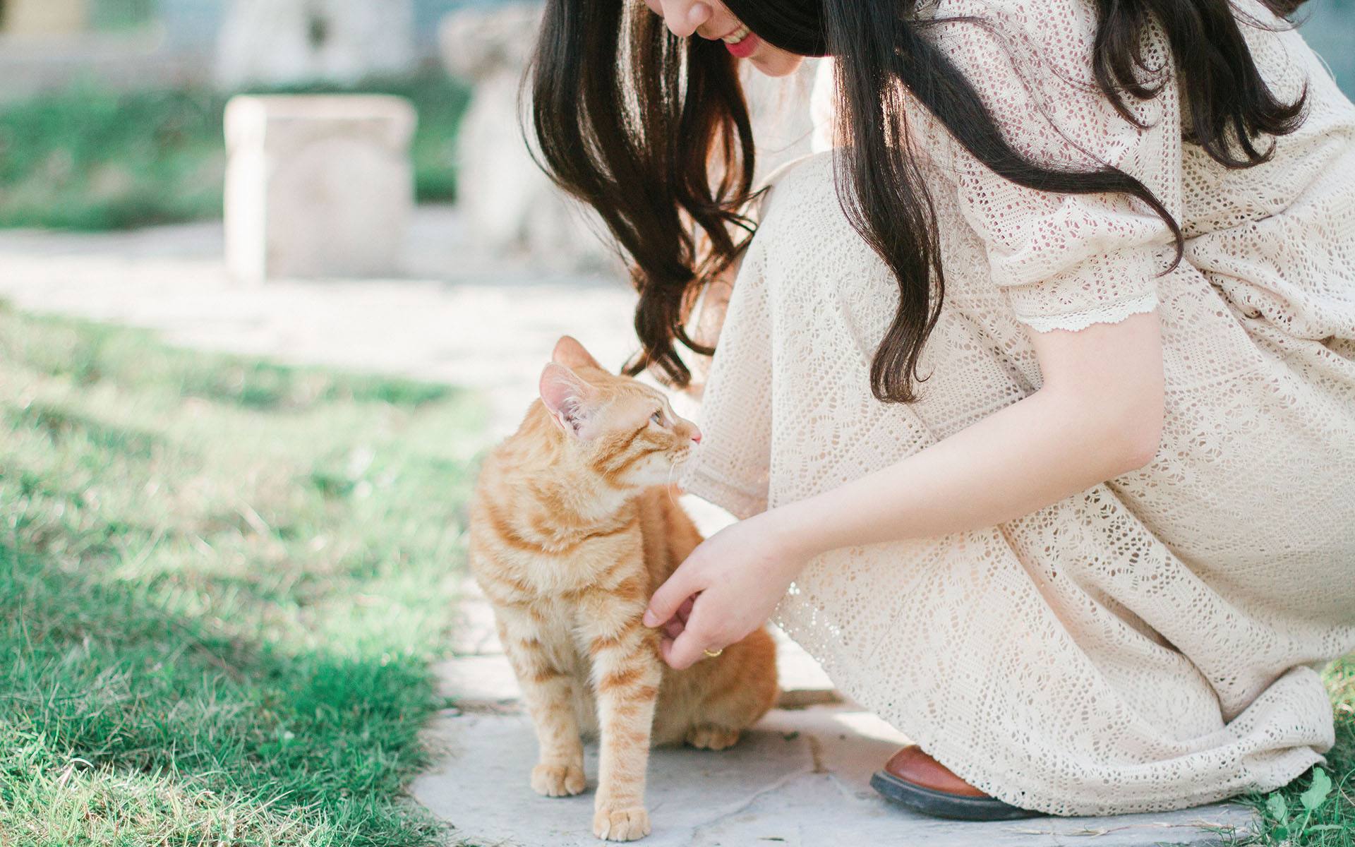 要骂就骂吧!这样的婆婆老了我该怎么照顾