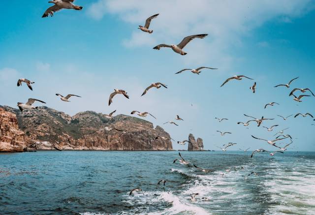 蓬莱是一个风景如画的地方,山东蓬莱有人间仙境吗