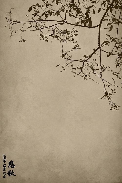 写秋思的诗词有很多，但是写出其雄壮悲凉的，只有这一首宋词