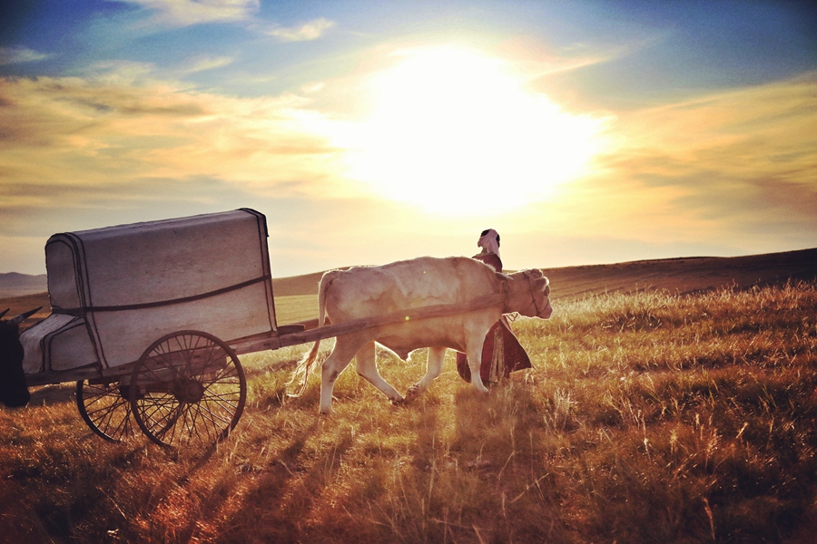 我从草原来温暖你心怀完整版,我从草原来温暖你心怀歌词