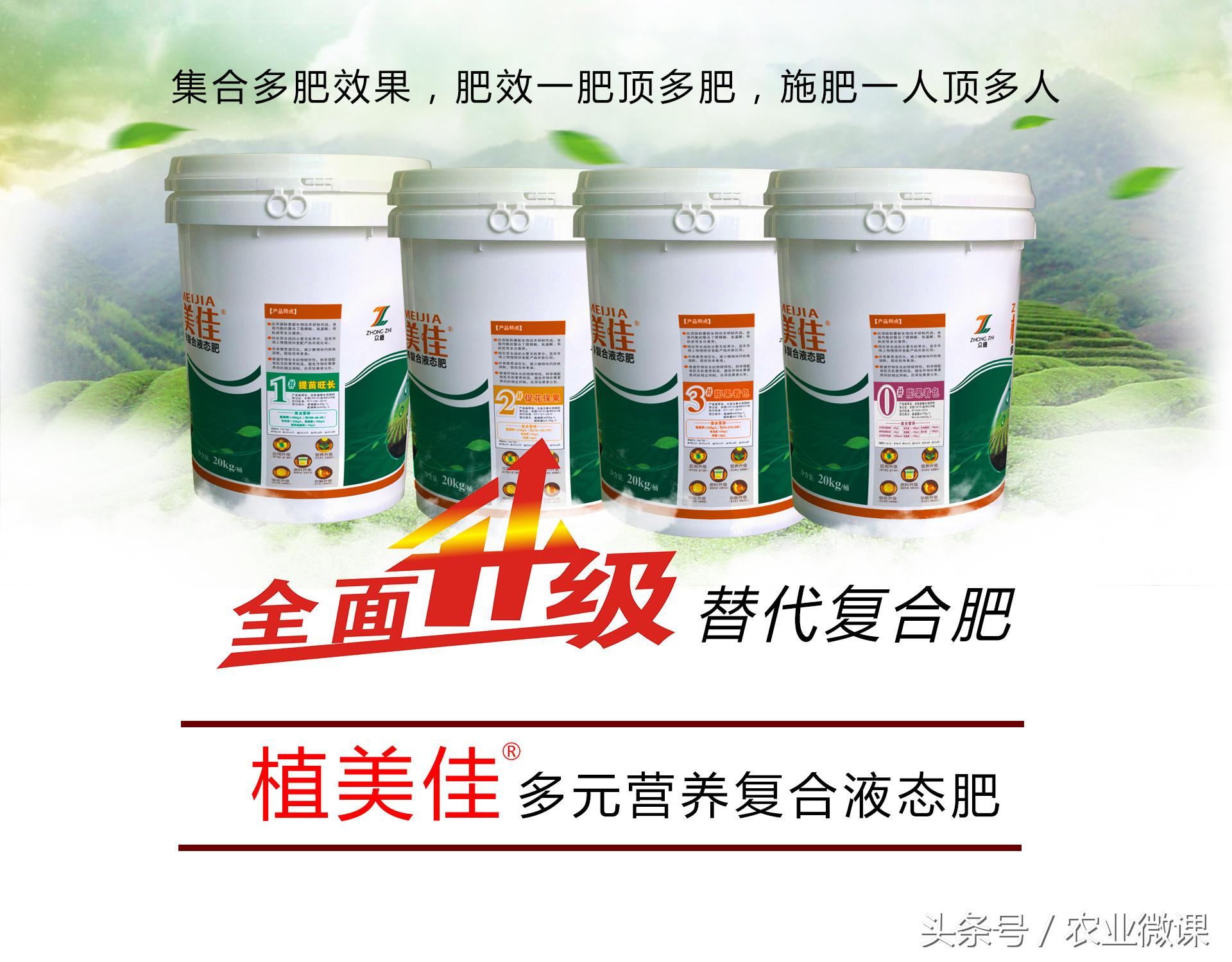 柑橘脚腐病和裂皮病区别,柑橘病毒病有什么症状