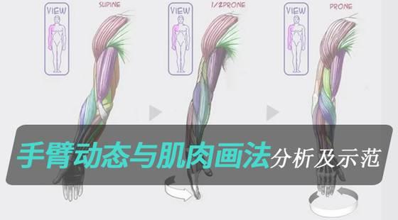 有了这些绘画教程，你离大神还远吗？