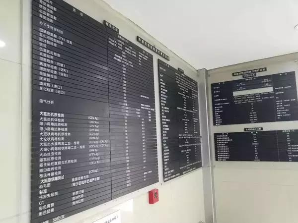 中国为什么没有正规的宠物医院,国内靠谱的宠物医院