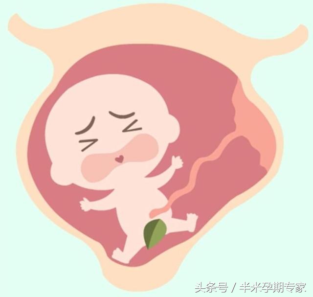 胎动是一种怎样的感觉,胎动晚上活跃怎么回事