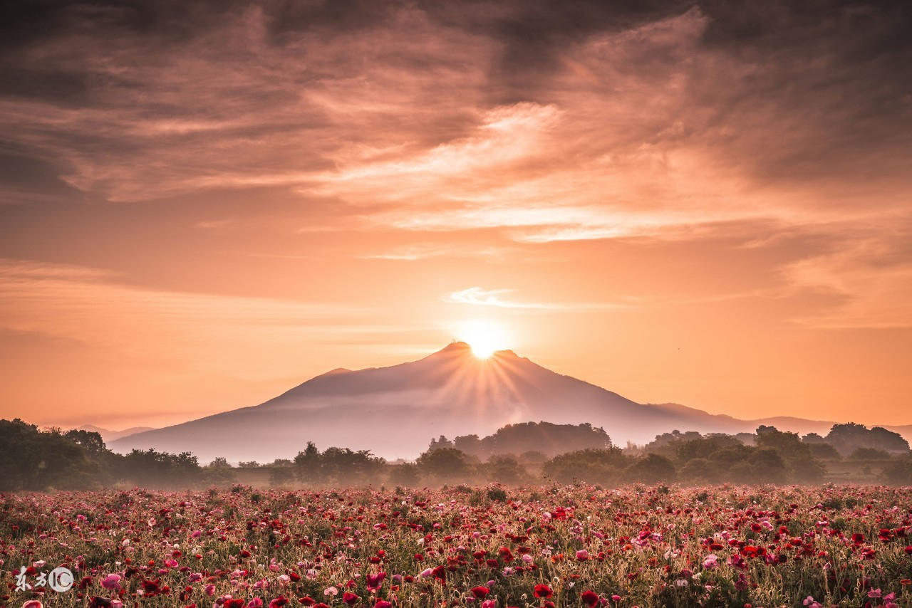 《江月》连载：他坏坏的，还精神分裂，却悄悄夺走了她的心！