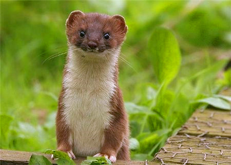 男默女泪系列完整版,男默女泪哪部电视剧好看