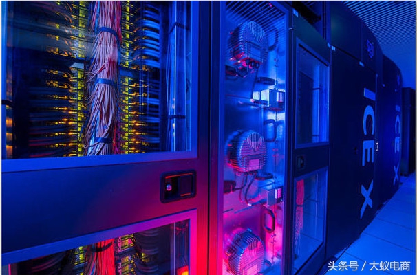 地球上最强的几个人,地球最强前十人