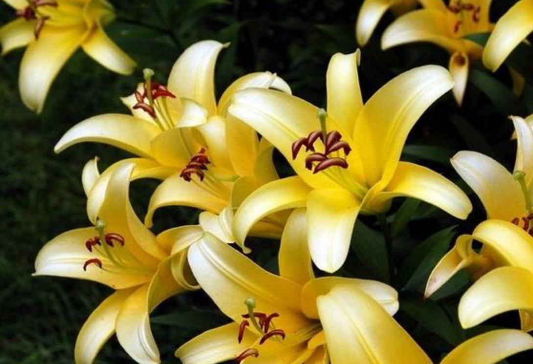 如果你现在很穷一定要做这几件事,在你最穷最困难的时候应该怎么做