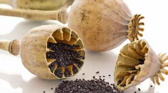 祖卡木颗粒适合风寒还是风热感冒,祖卡木颗粒和头孢可以一起服用吗