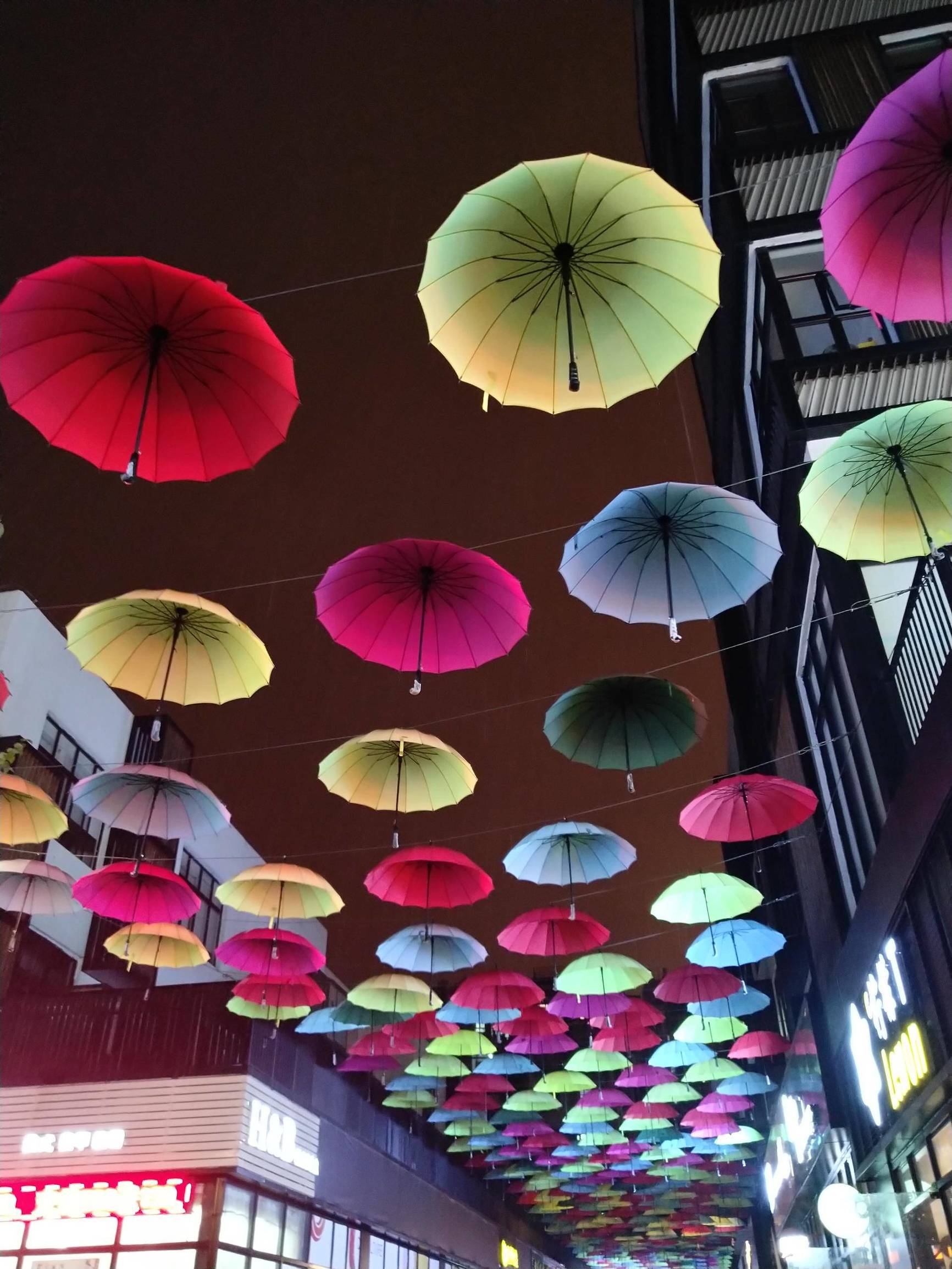 锤子坚果pro2s测评照片,坚果pro2s拍照小白测评