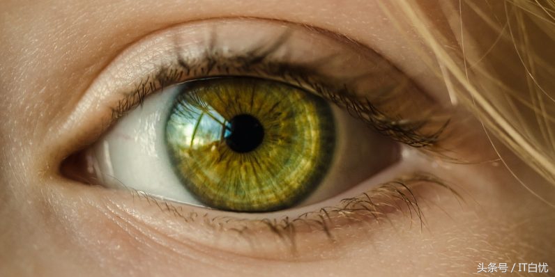 近视或色盲玩手机不爽？iOS和Android手机中如此设置一下就搞定了