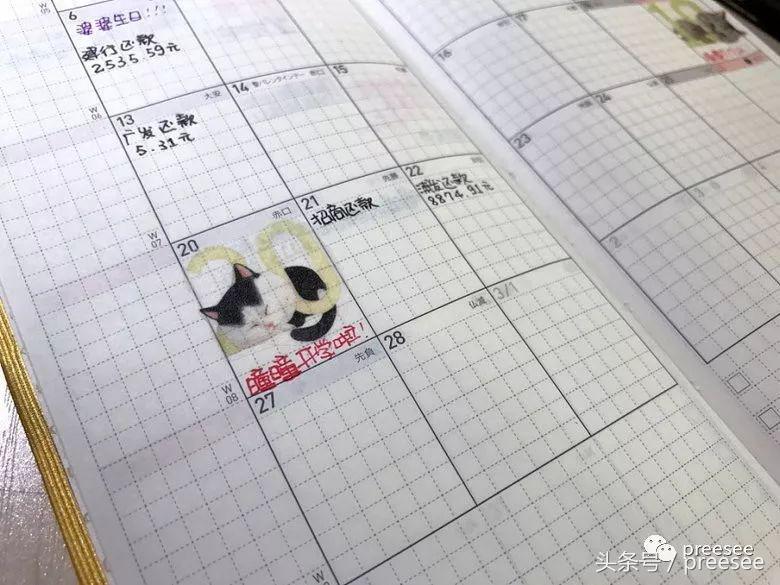 北京｜爱猫却不能亲近，于是她画出了一群萌猫