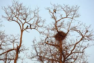 十大最美校园深圳大学,探访最美大学武汉大学