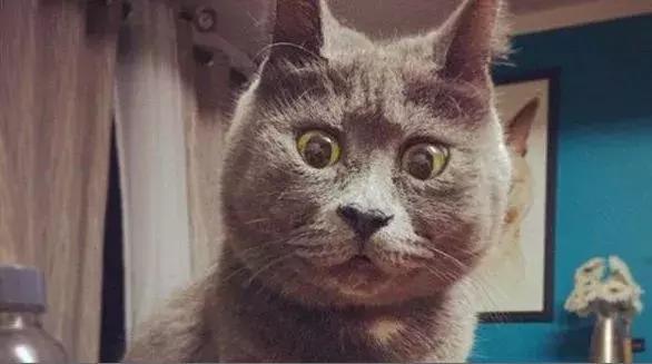 星巴克算精品咖啡吗,星巴克深度烘焙精品速溶咖啡