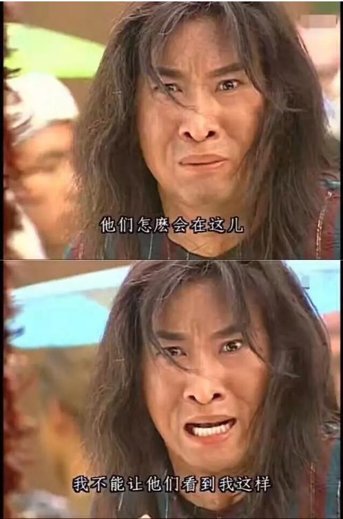 哈哈哈，原谅我拖拉机般的笑声！当喵星人被蜜蜂蜇了之后