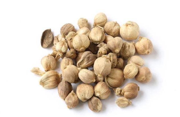 哪些香料可以锁住卤菜的香味,卤菜除异味最好的香料