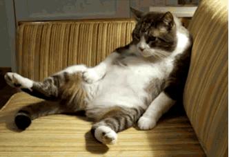 女友不讲道理系列,女友不讲道理一直忍让