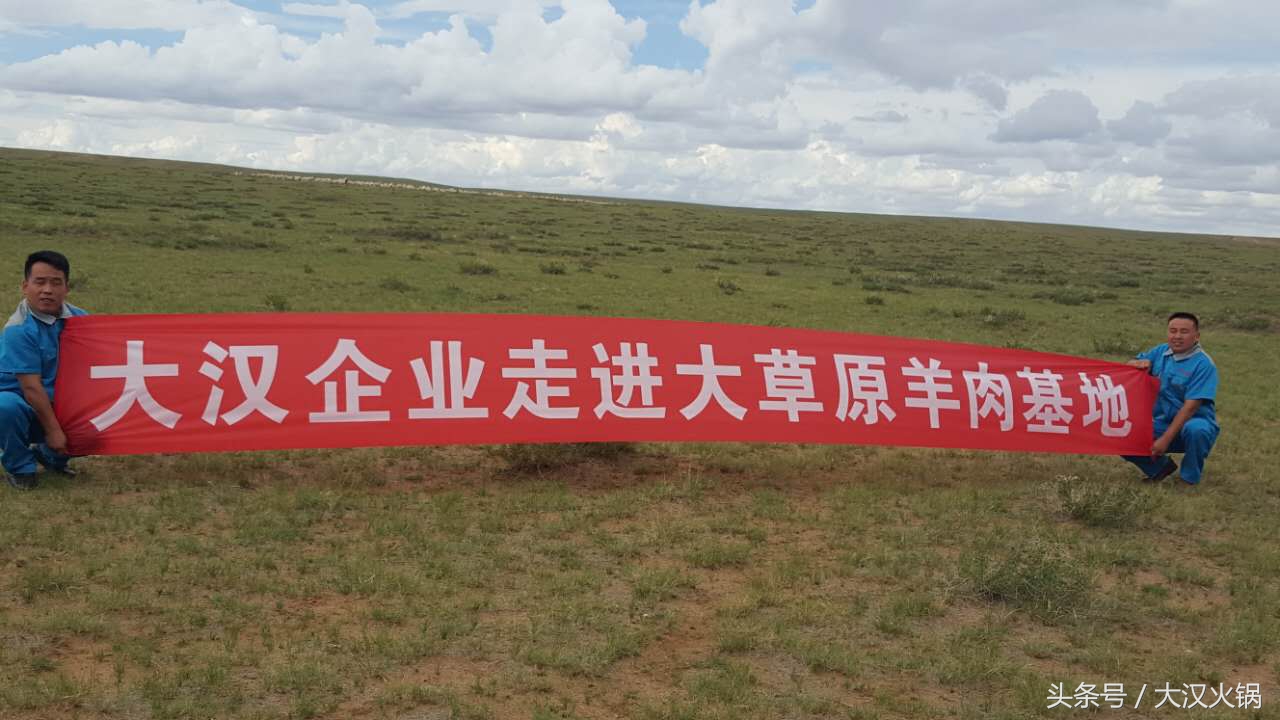 内蒙古大草原正宗羊肉,内蒙古正宗草原羊肉