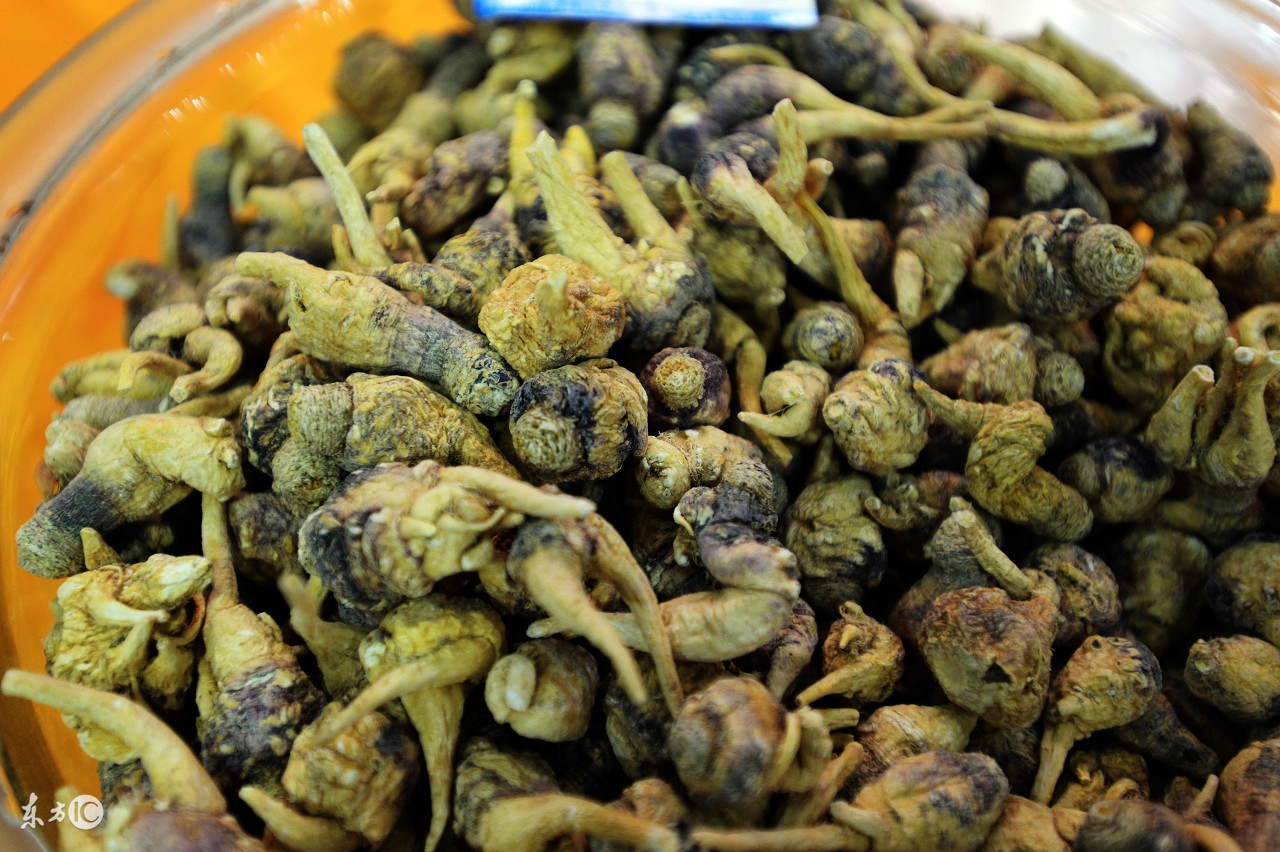 玛卡食用方法视频,玛卡要怎么吃