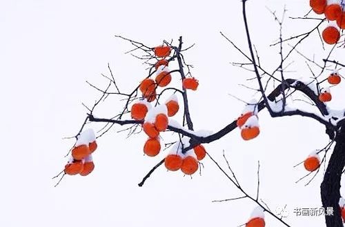 白里透红美颜,白里透红娇颜