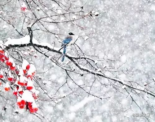 白里透红美颜,白里透红娇颜