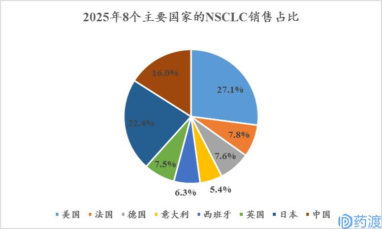 非小细胞肺癌流行病学,非小细胞肺癌患者数量预测