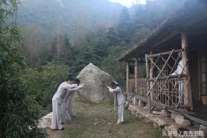 茶道养生全集视频,茶道养生课视频