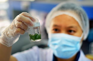 看懂甲状腺报告，你离康复又近了一步！