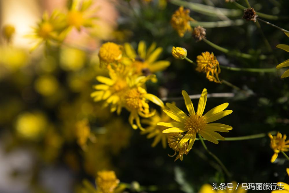腾龙70-300mm镜头拍月亮环形山,腾龙18-400mm大变焦镜头旅游拍鸟