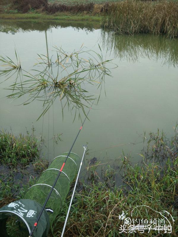携好友出征私留地天虽冷鱼情很给力