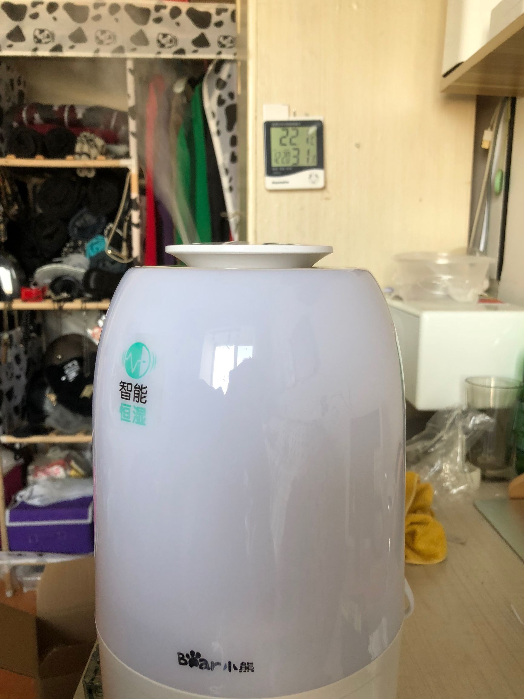 开箱小熊软木板,开箱小熊柏香