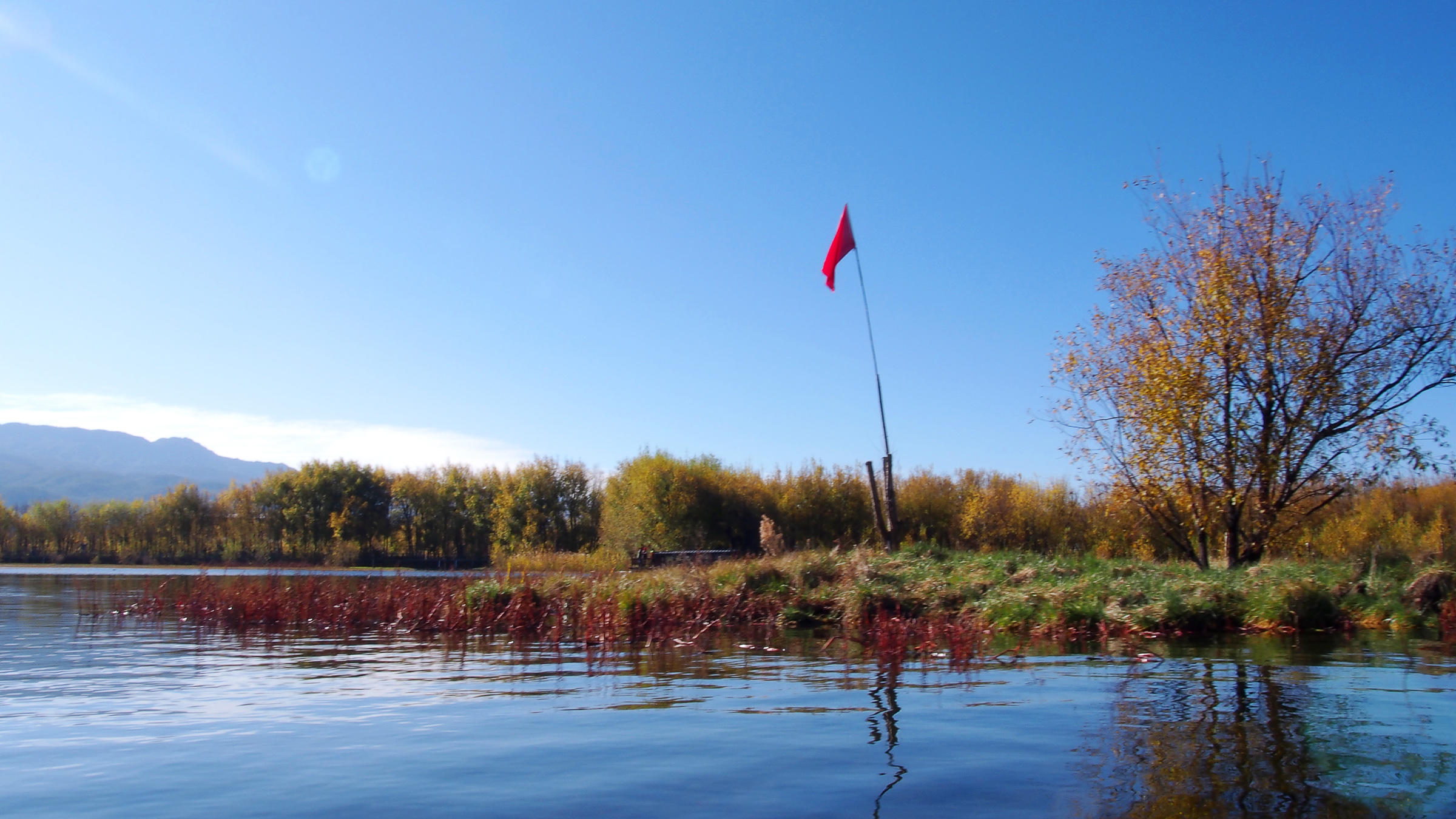 水至清则无鱼游泳,水至清则无鱼但是还是有很多鱼