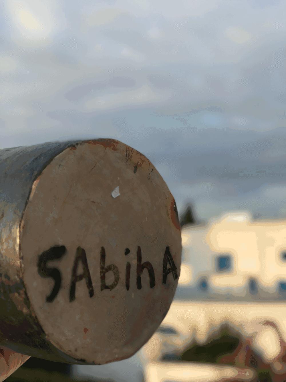 西天取景挣大钱,西天取景