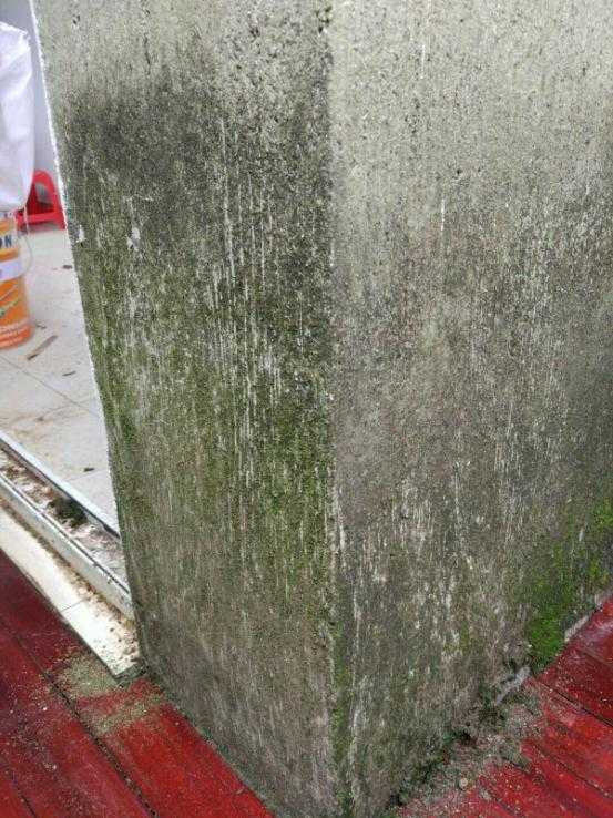 80后斜杠青年装修爆改姑苏民居找寻属于他的诗和远方