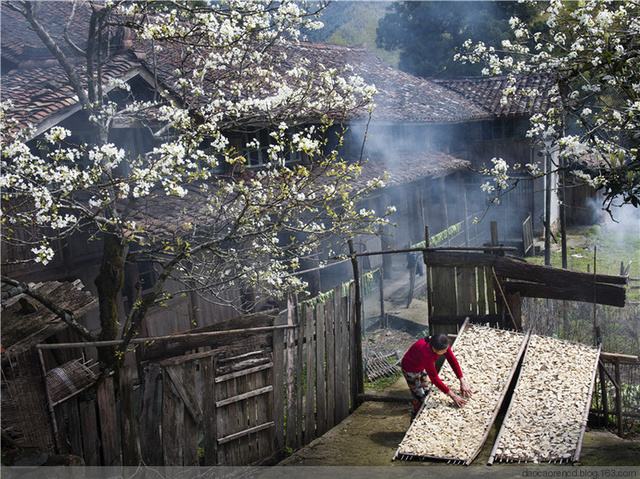 中国传统村落“千村一面”空巢化和旅游化严重,保护成了大难题