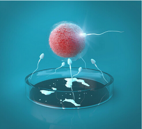 试管婴儿为什么特别容易出血,试管婴儿一周出血是什么原因