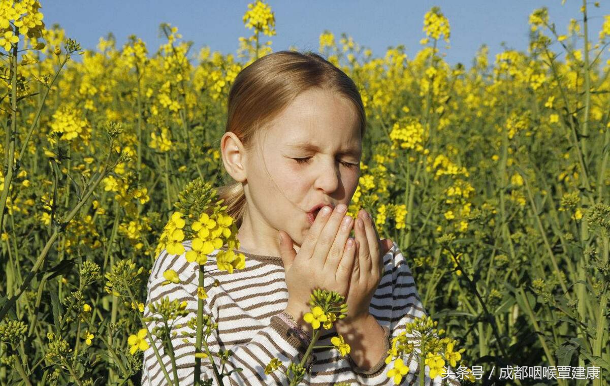 鼻炎治好了为什么又不通气了,为什么很多人鼻炎一直治不好