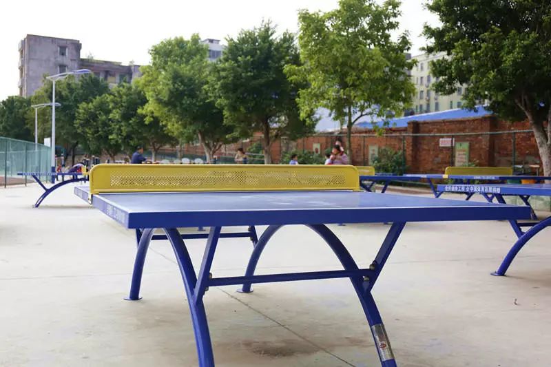 肇庆新区体育中心跑道开放吗,肇庆体育设施建设的对比与变化