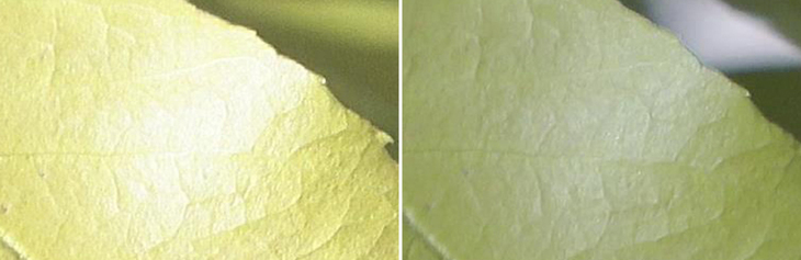 索尼ax7004k摄录一体机,索尼摄像机4kax700值得购买吗