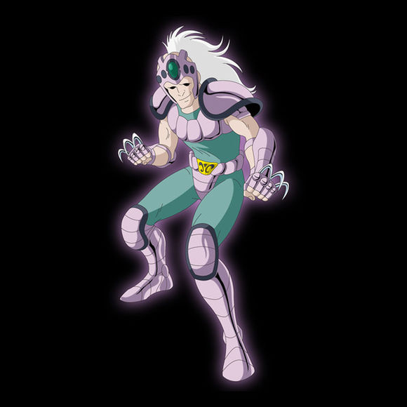 最没存在感的圣斗士星座排行,圣斗士88星座里的四个特殊星座