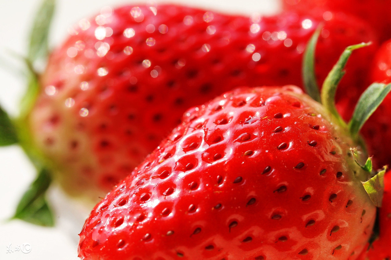 吃它们能够给我们带来不少的好处,吃什么瘦得最快