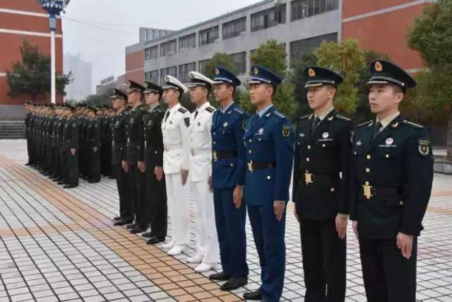 萌化了！这样的“小小兵”你见过吗？