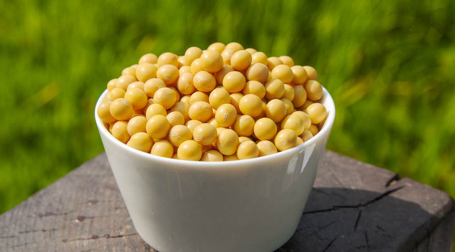 一直在减肥从来未成功,一直在减肥却从来没减过一斤八两