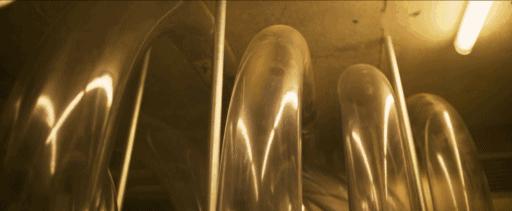 炫技烧脑、阴差阳错——看几个非专业小人物如何走上“致富之路”