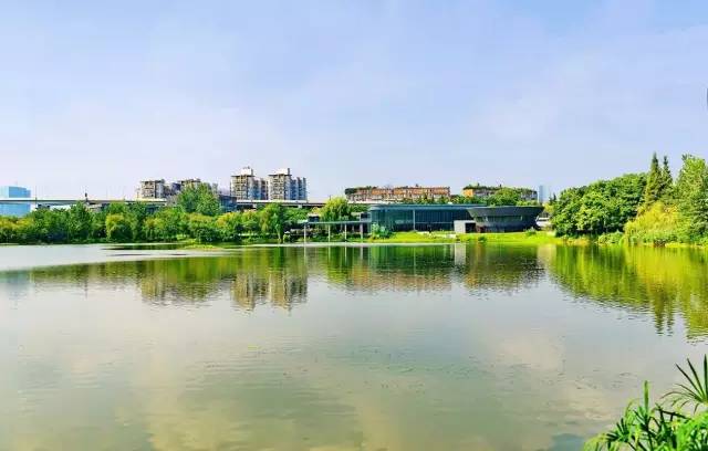 成都有什么好玩的东西,成都到底有多好玩