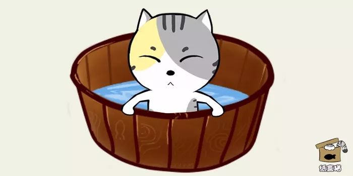 给猫咪洗澡要注意哪些,喵星人洗澡的正确方法